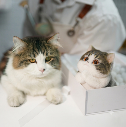 Petlyx | Sanat ve Sevimlilik Bir Arada: Dekoratif Kedi Heykeli